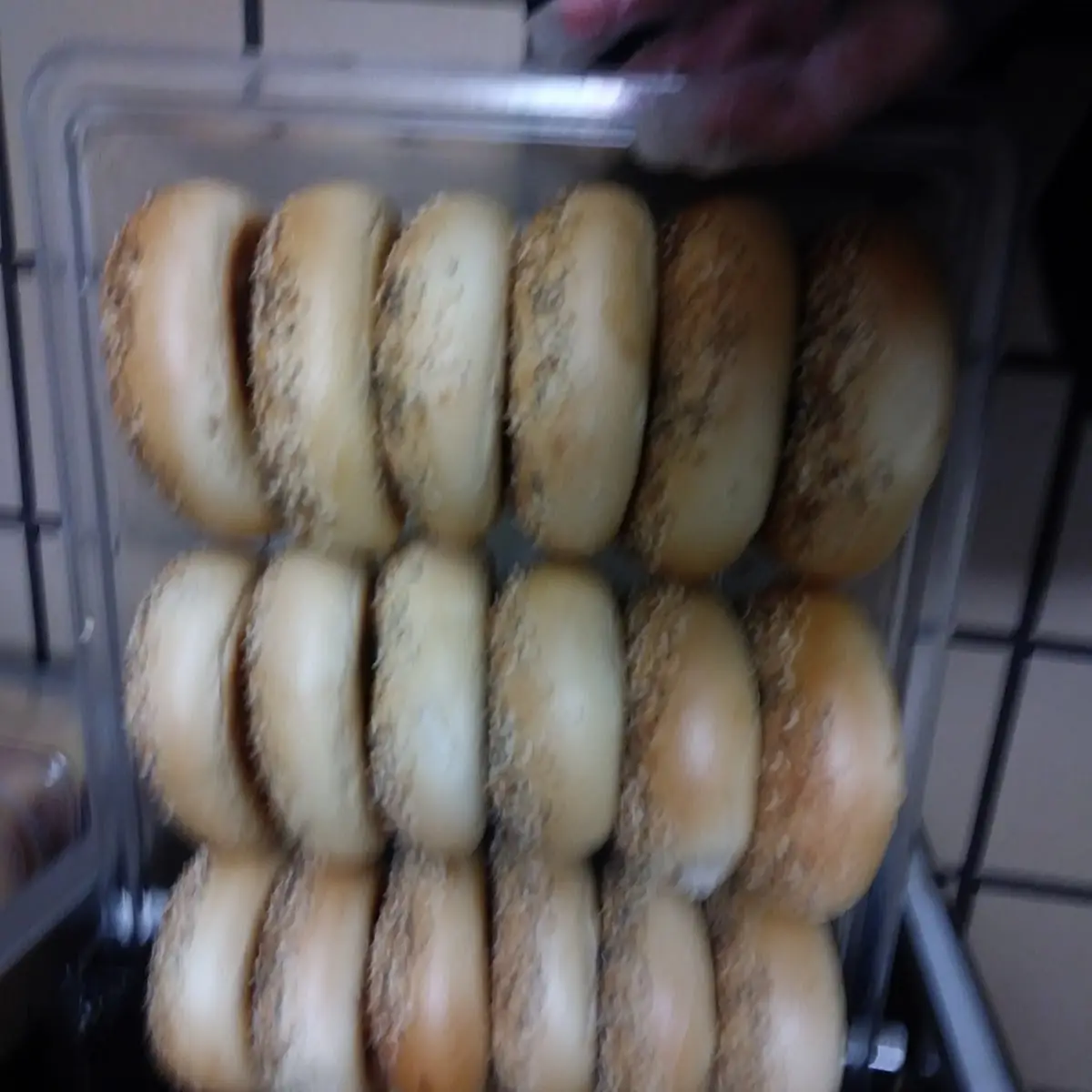 Everything Bagel