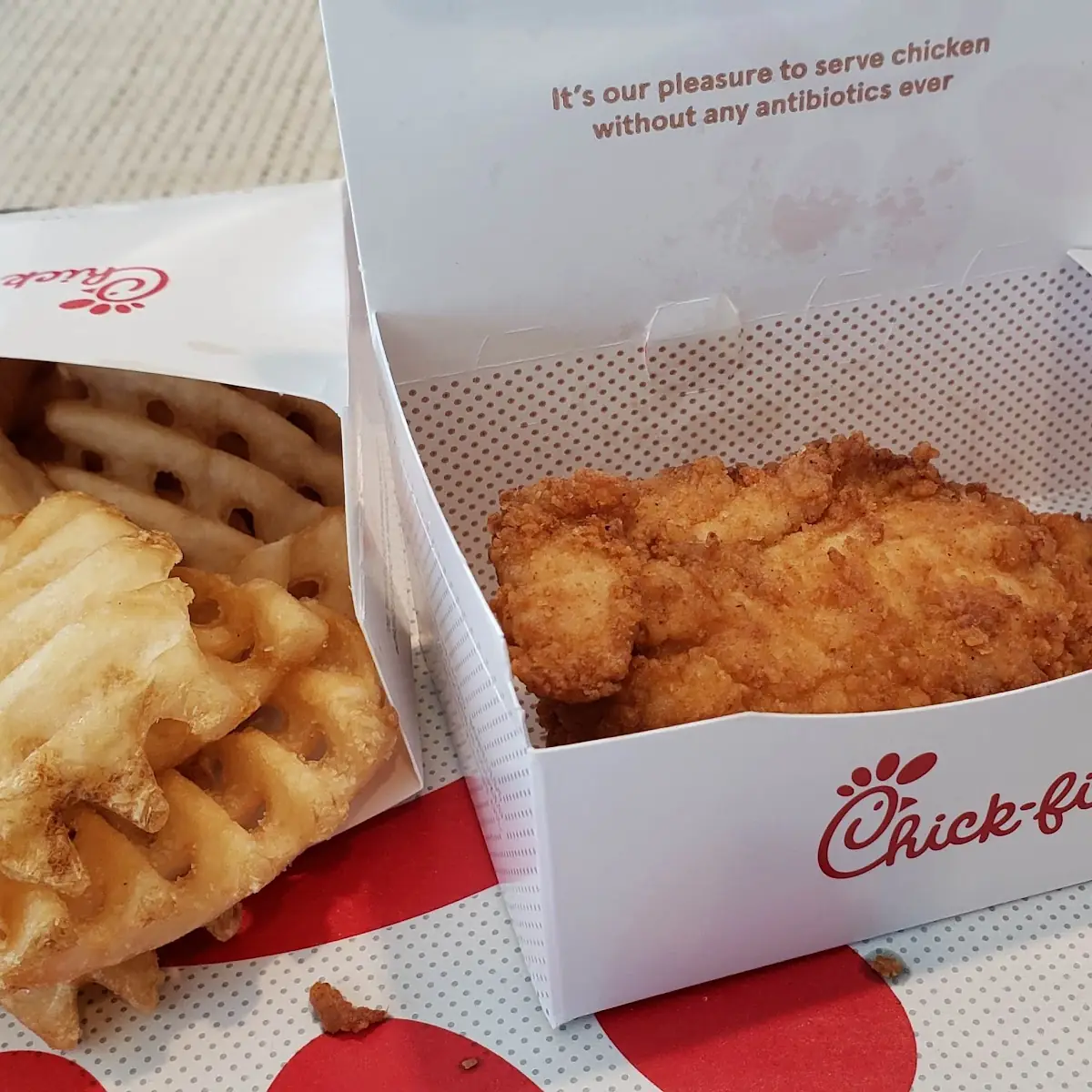 Chicken Fillet