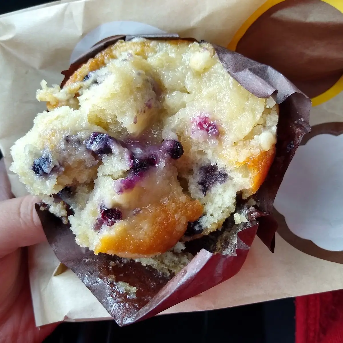 Blueberry Muffin