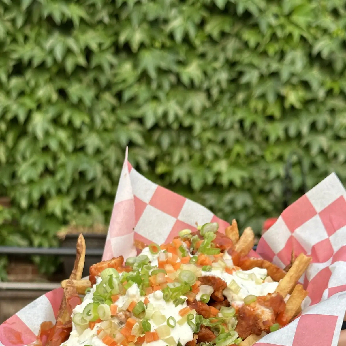 Loaded Potato Fries
