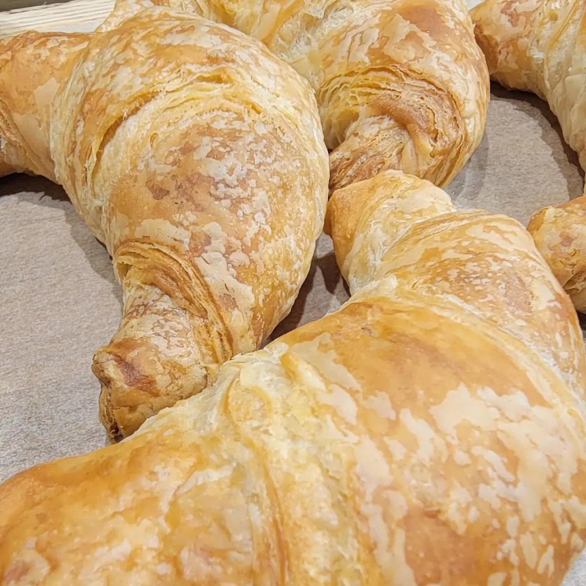 Butter Croissant