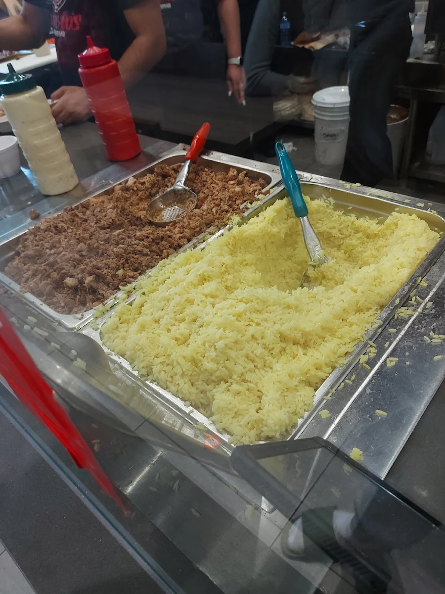 Rice and Chicken Shawarma