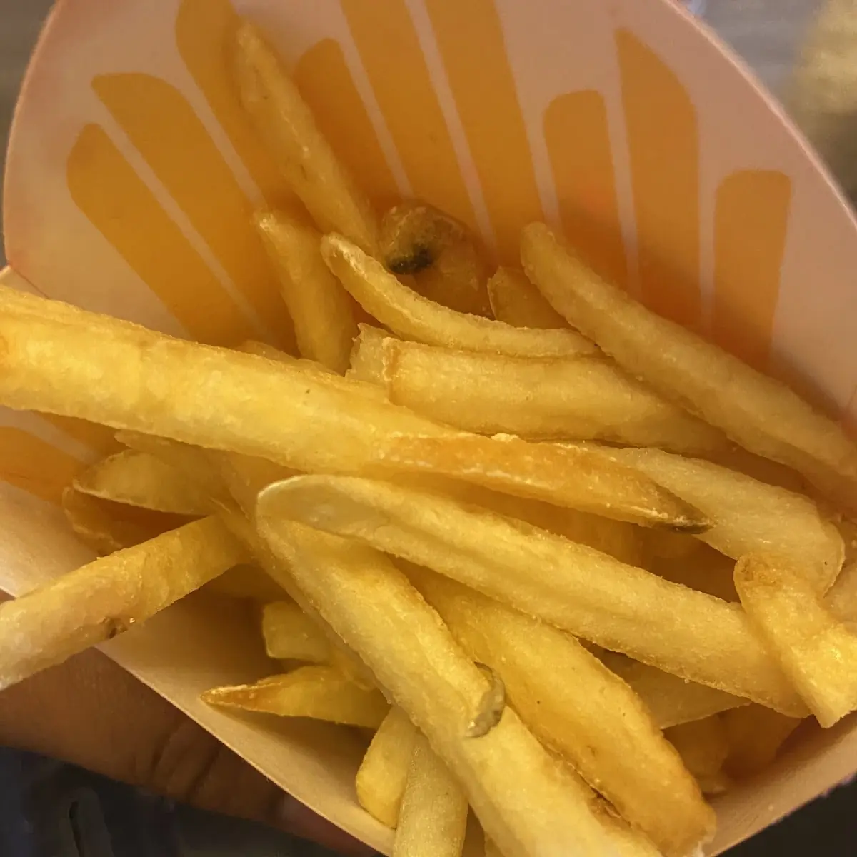 World Famous Fries