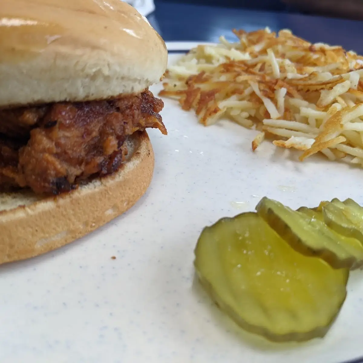 Pulled Pork Sandwich and Coleslaw