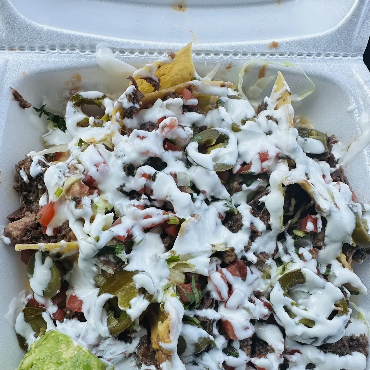 Carne Asada Fries