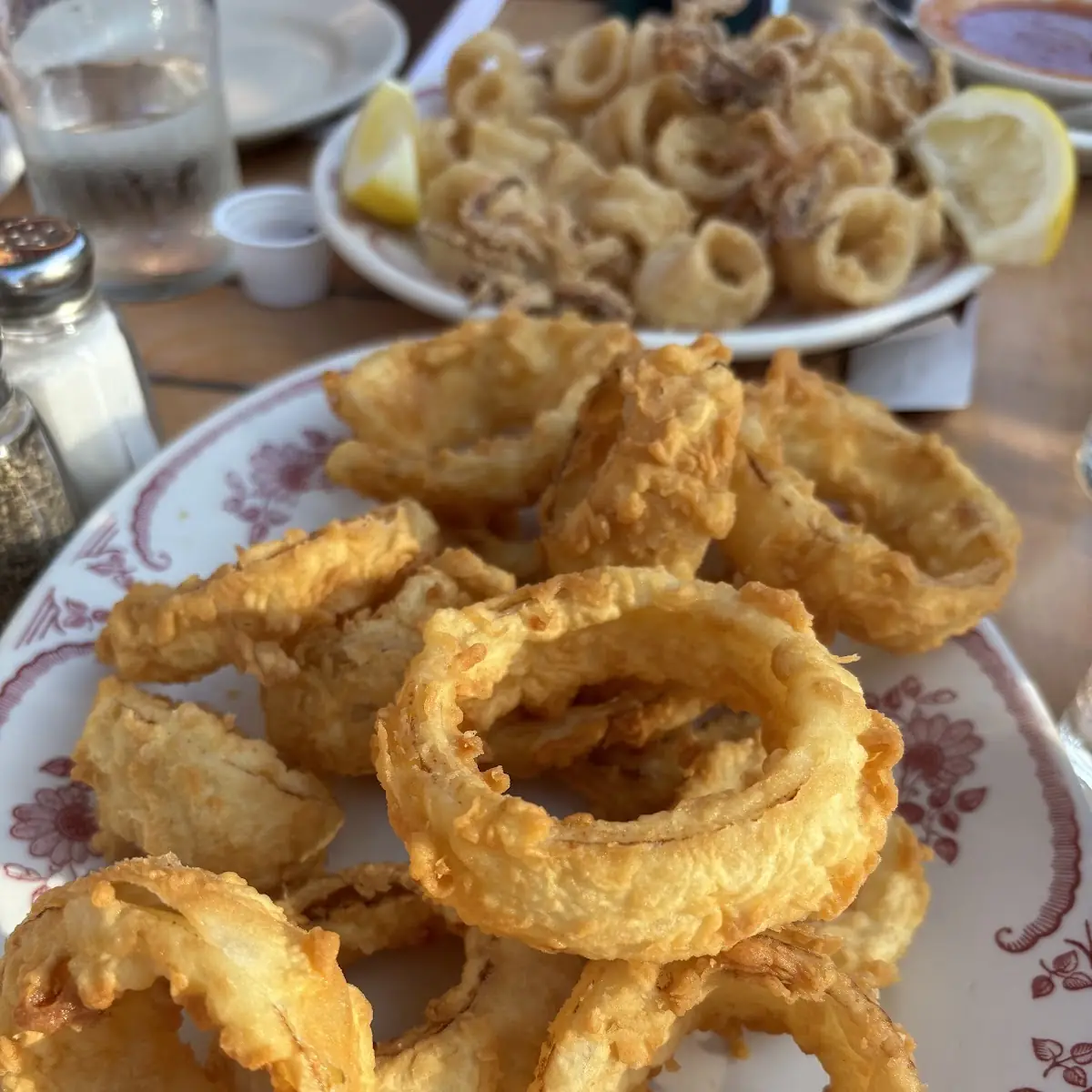 Onion Rings the Best in the City