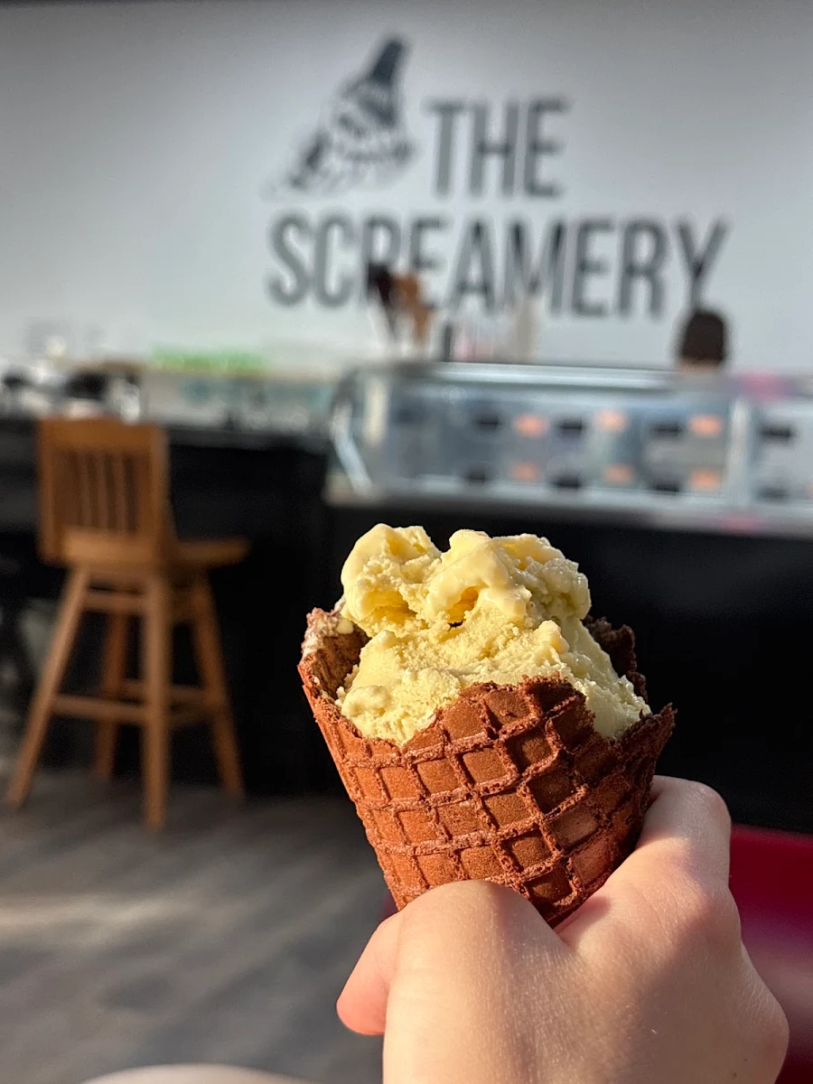 Fresh Waffle Cone