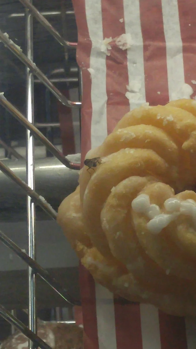 Apple Fritter Donut, Tim Hortons