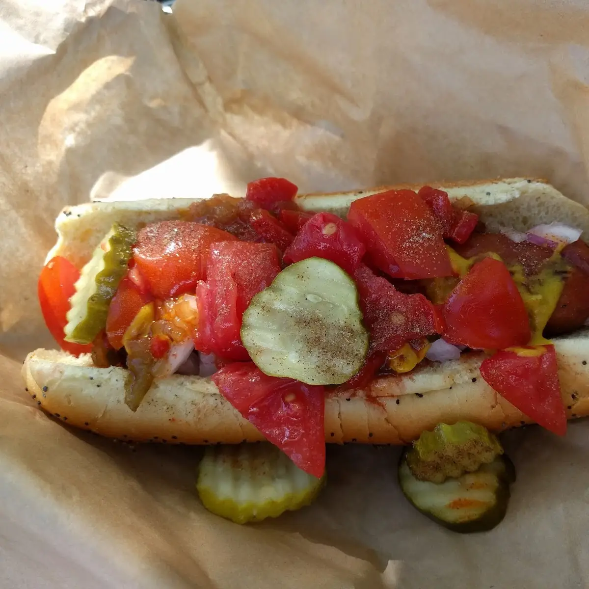 Chicago Style Hot Dog