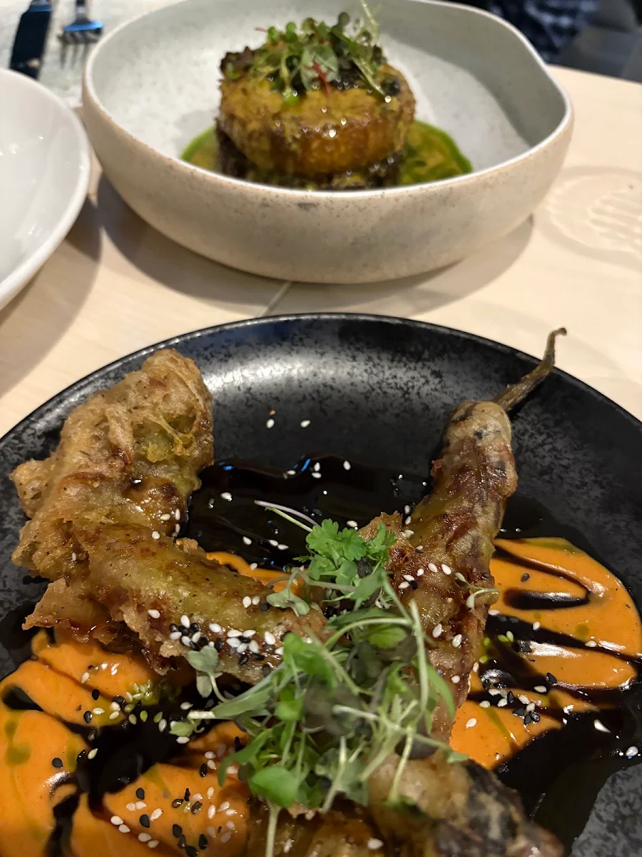 Eggplant Main, Braddon Merchant