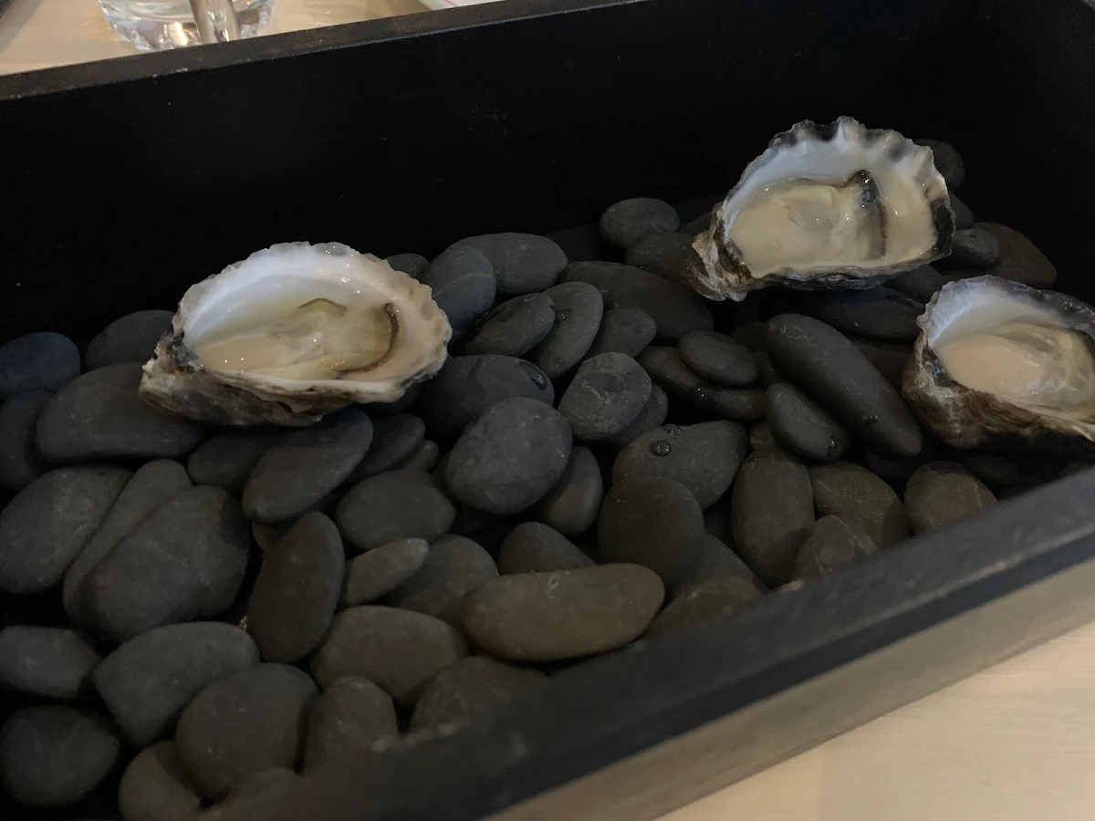 Oysters, Braddon Merchant