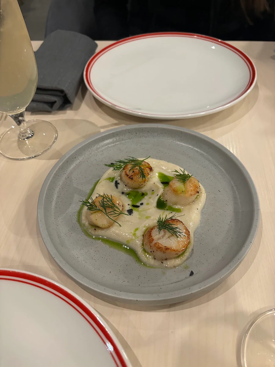 Scallops, Braddon Merchant