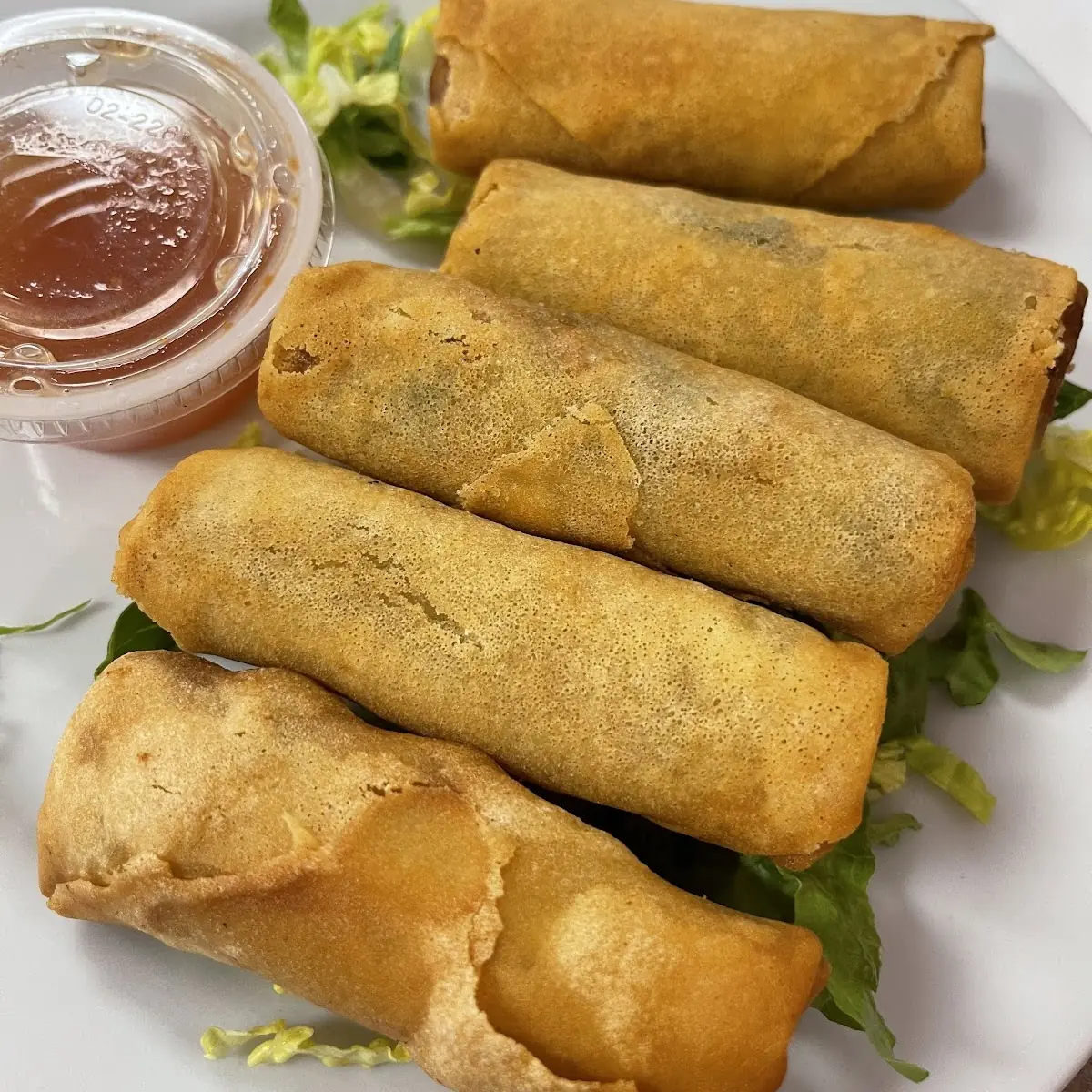 Fried Tofu Spring Rolls 2