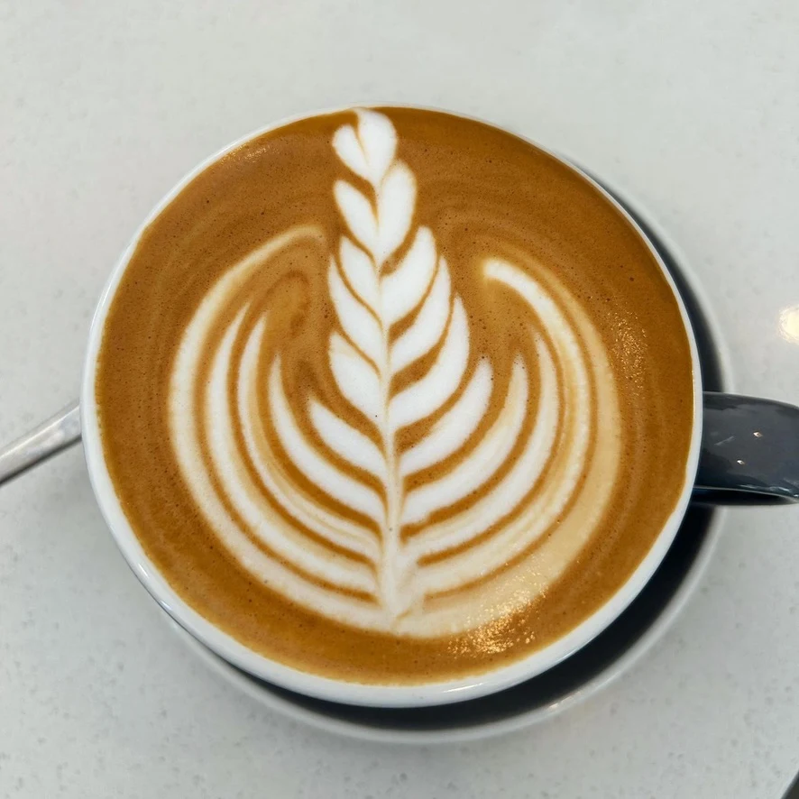 Highlights, Euphoria Espresso (Laverdrive) Robina