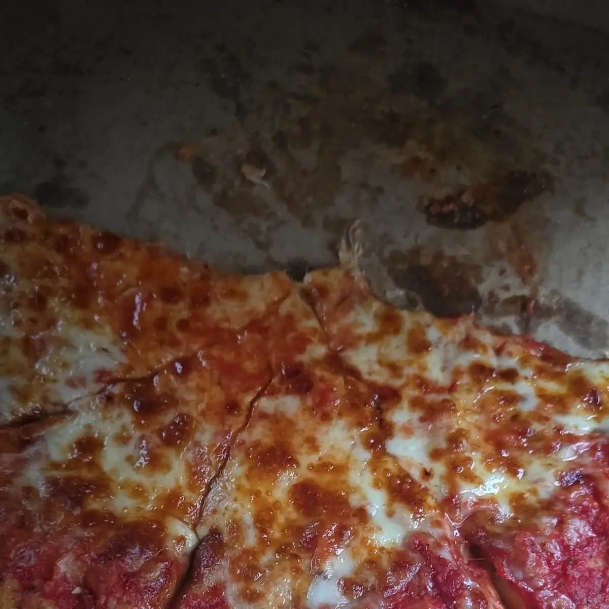 Medium Cheese Pizza