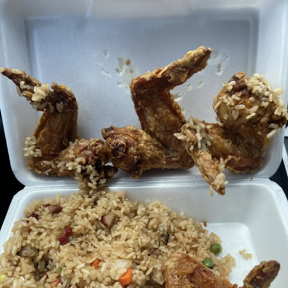 Fried Chicken Wings w EE