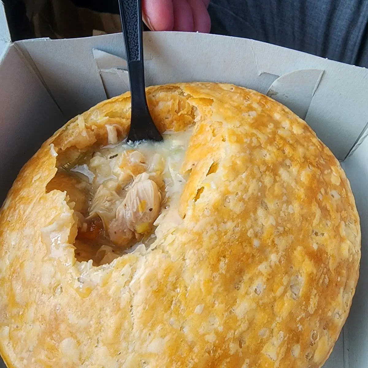 Chicken Pot Pie