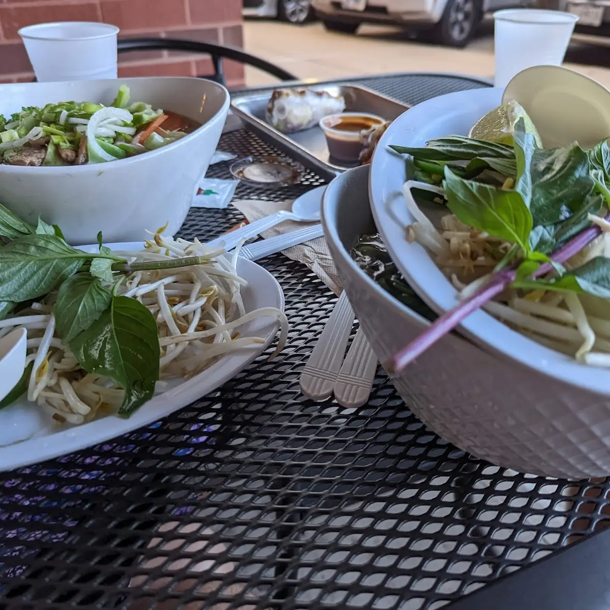 Vegetable Noodle Soup