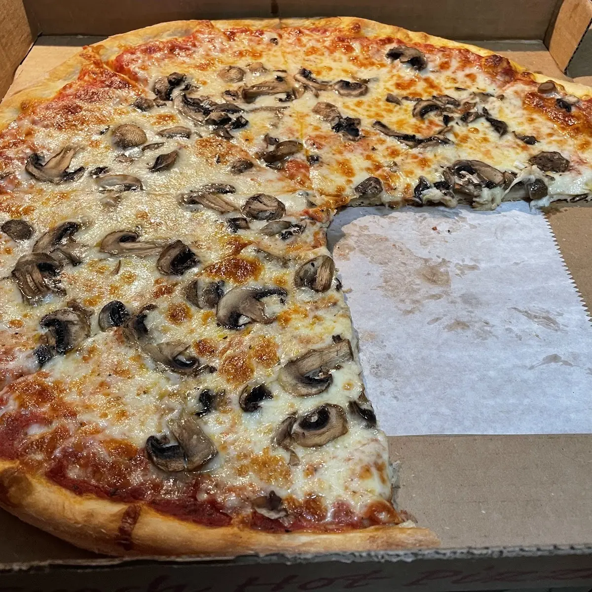 Mushroom Pizza Extra Cheese Pizza