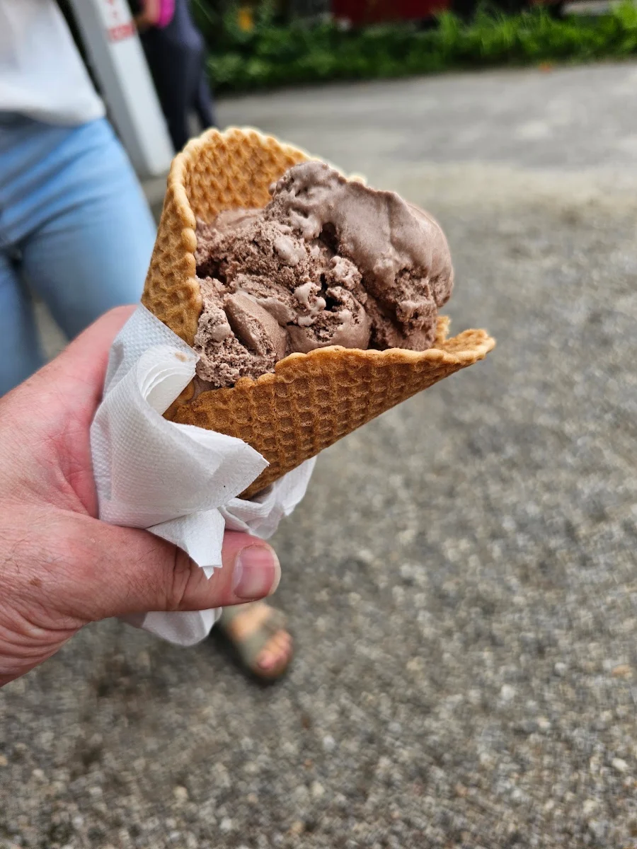 Coconut Chocolate Ice Cream