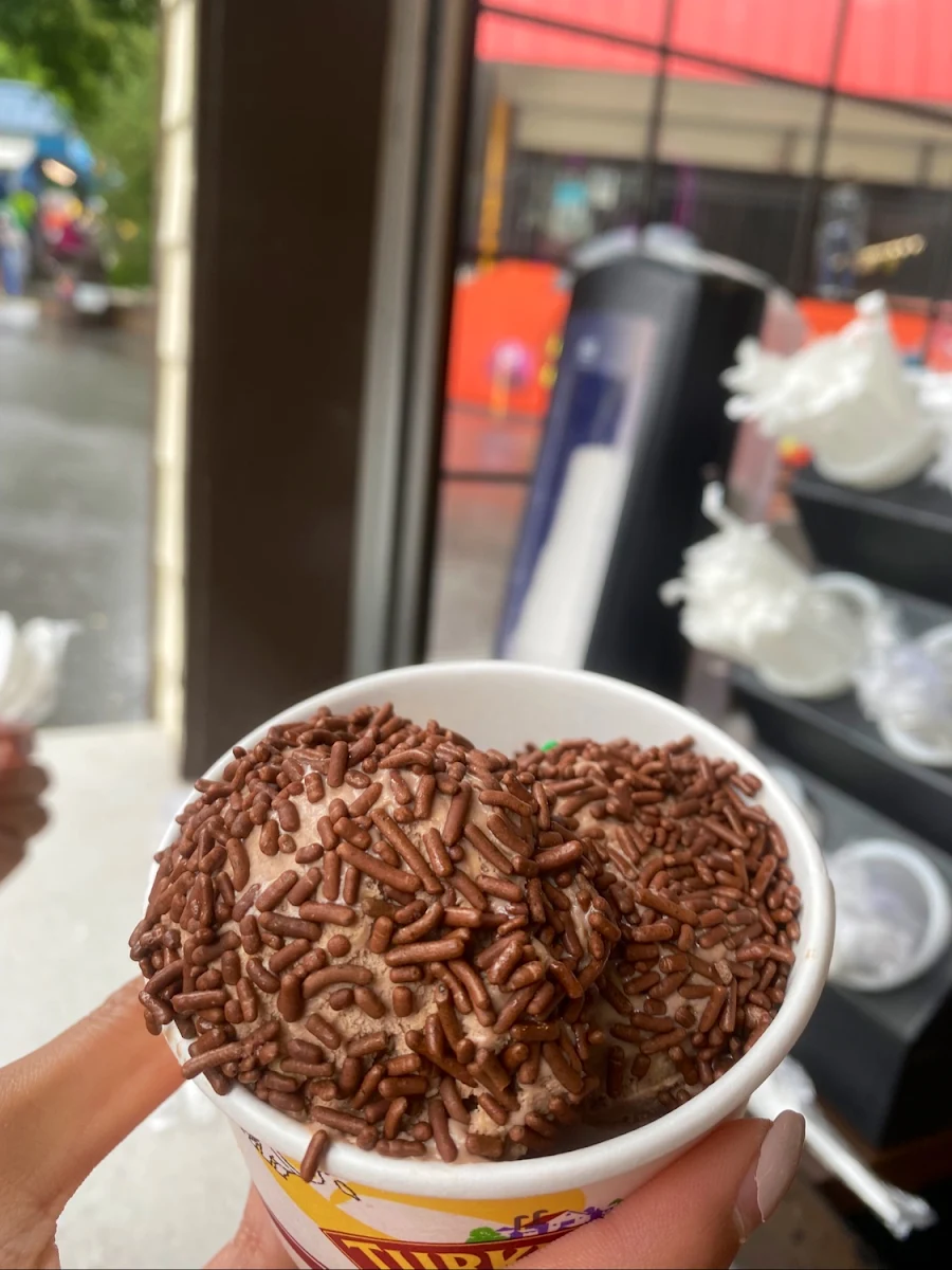 Chocolate Peanut Butter Ice Cream