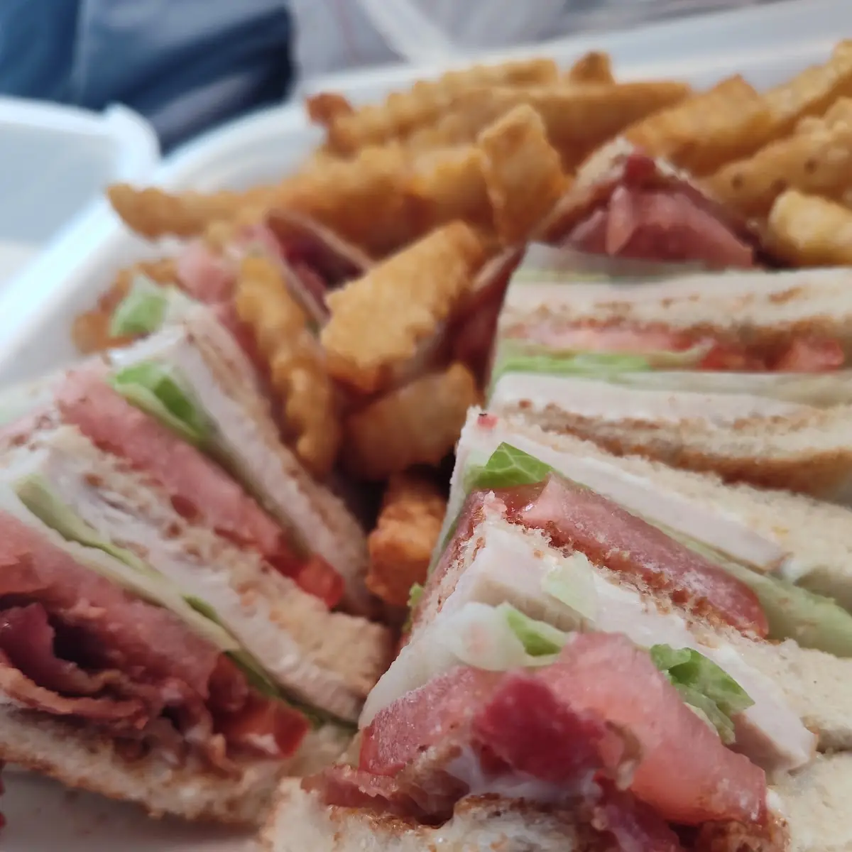 Turkey Club with Fries