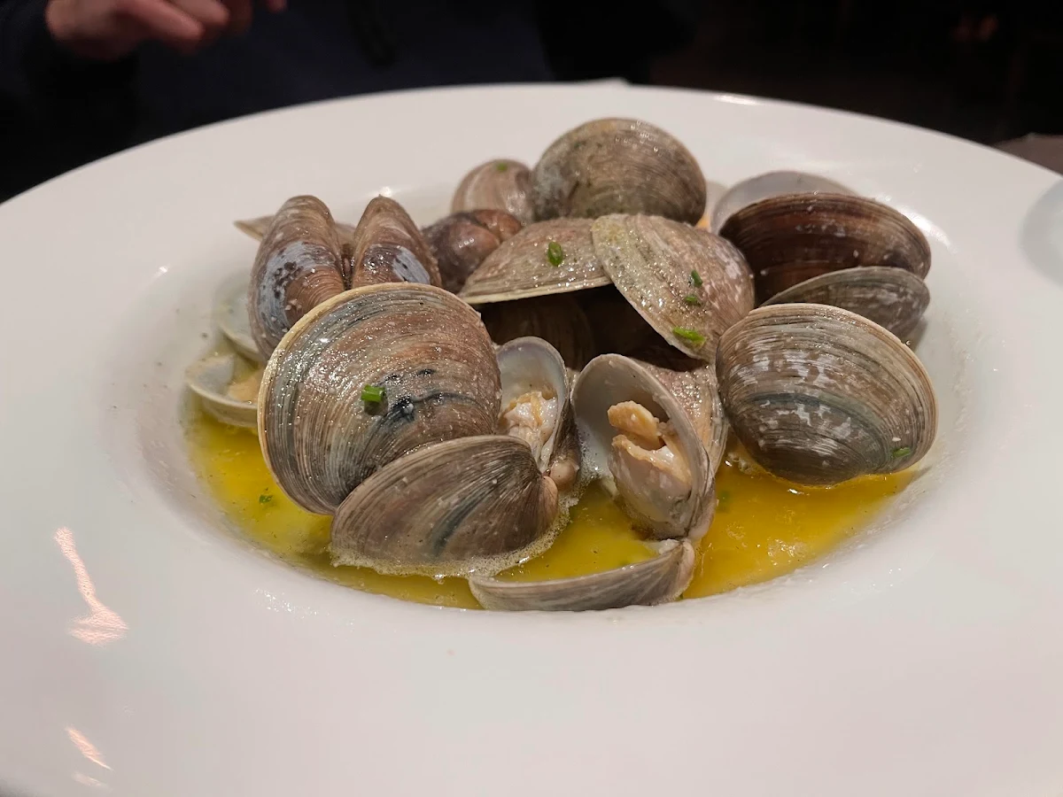 Steamed Clams