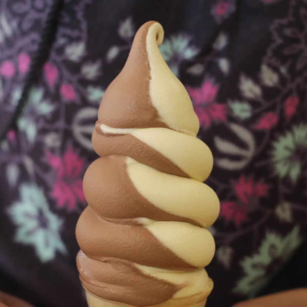 Soft Serve Cones