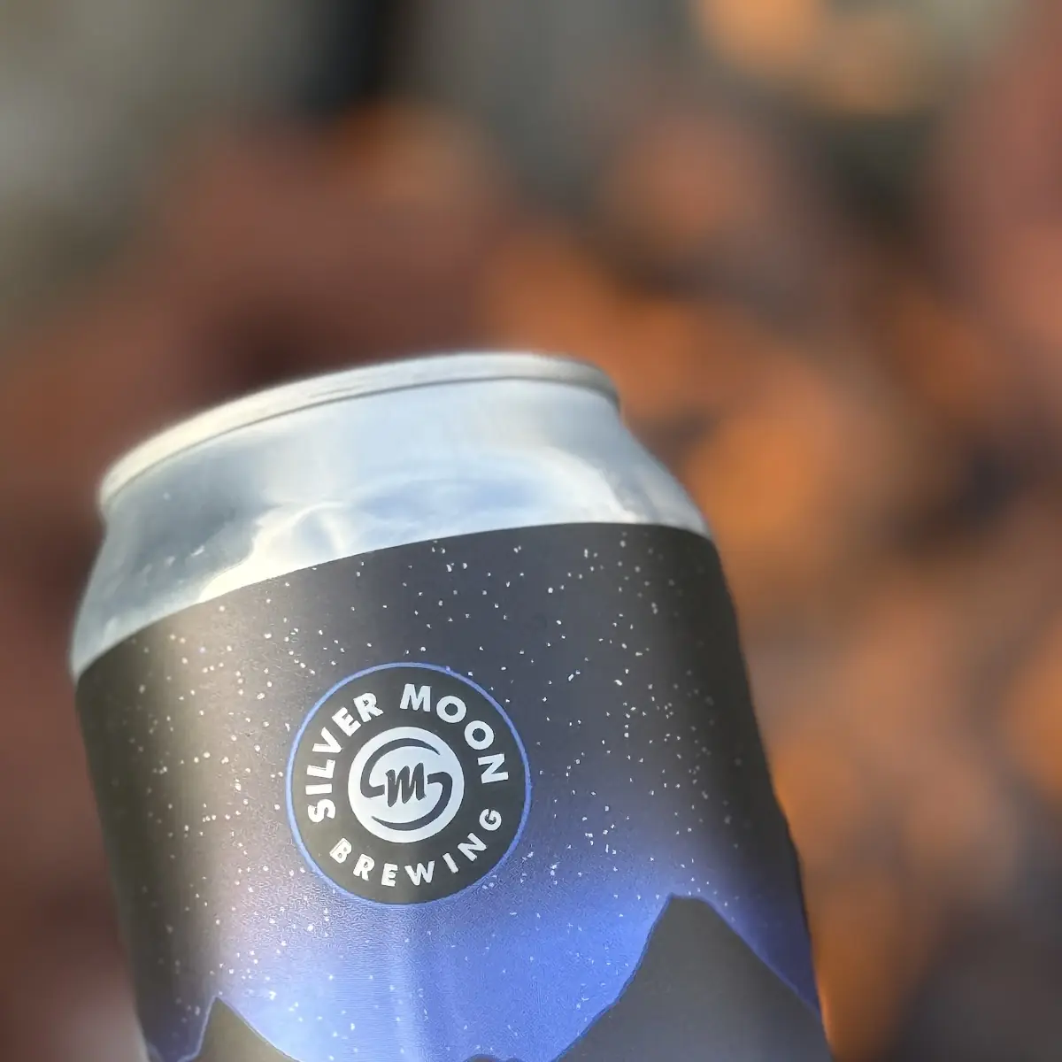 Got Sum Pale Ale