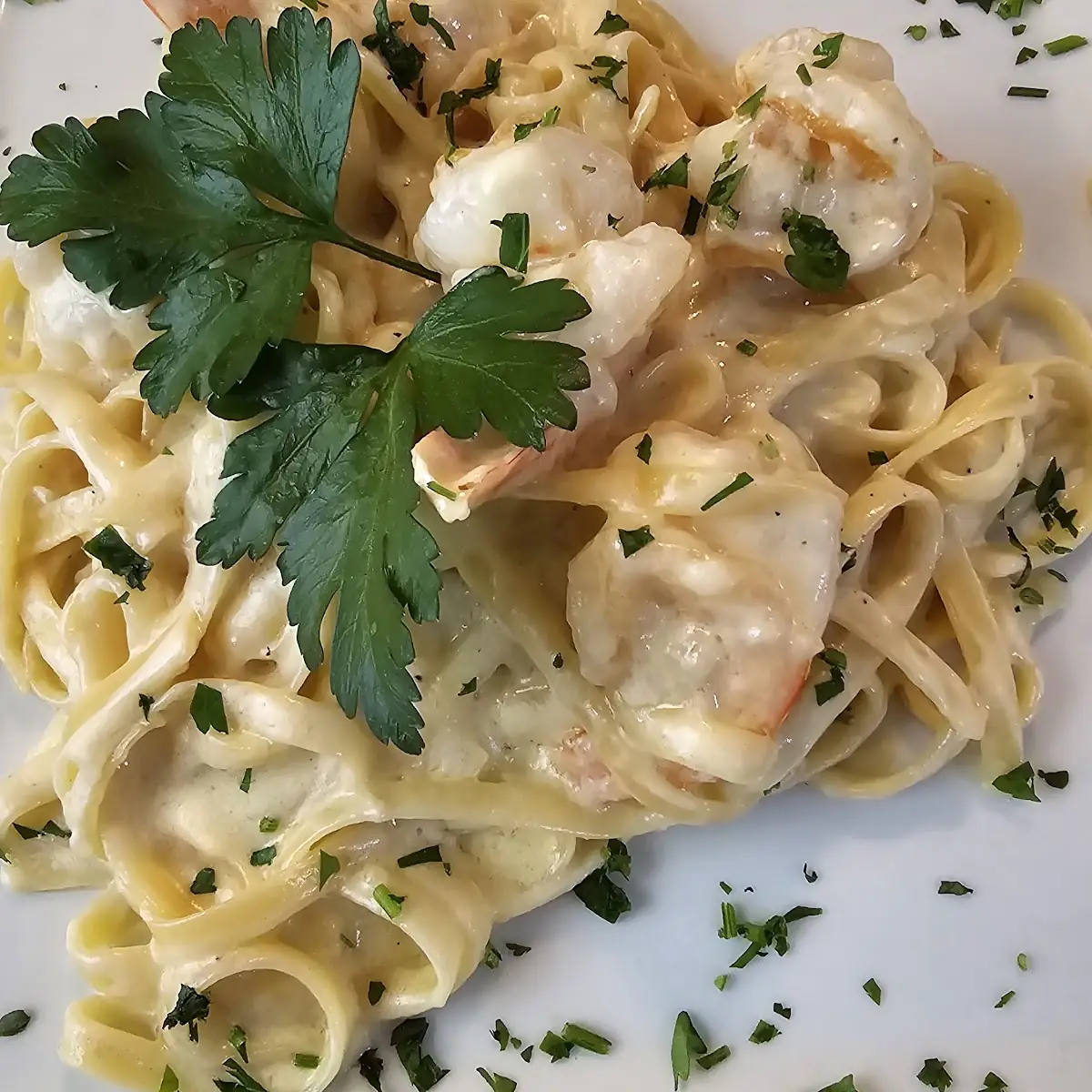 Shrimp Alfredo