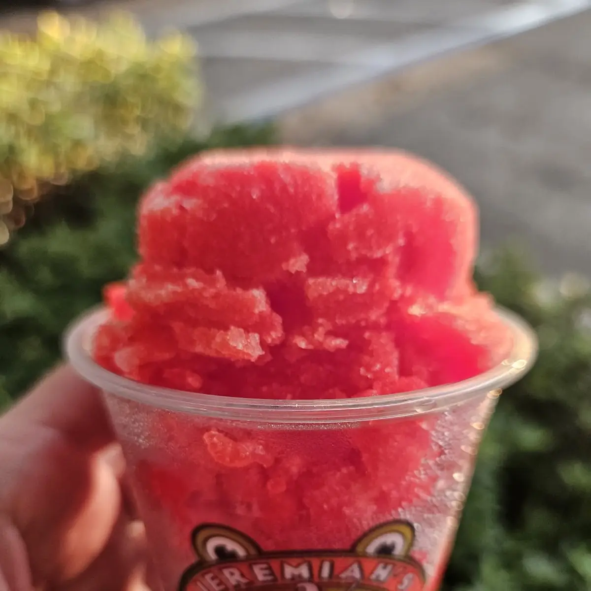 Sugar Free Ice Cream