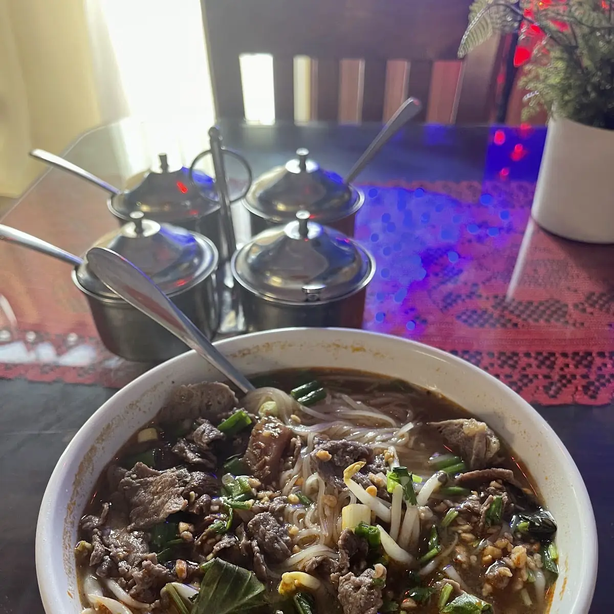 Beef Soup
