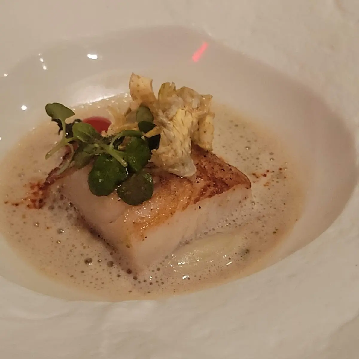 Black Cod