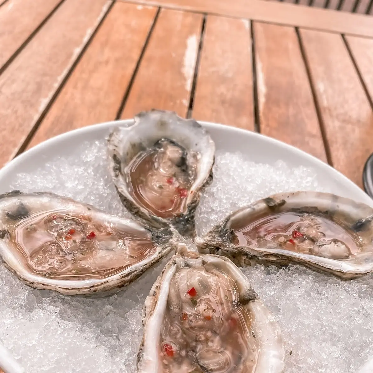 Fresh Oysters on Crushed Ice