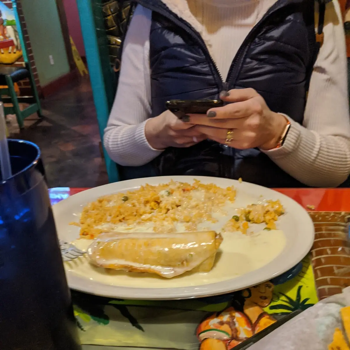 Chicken Burrito