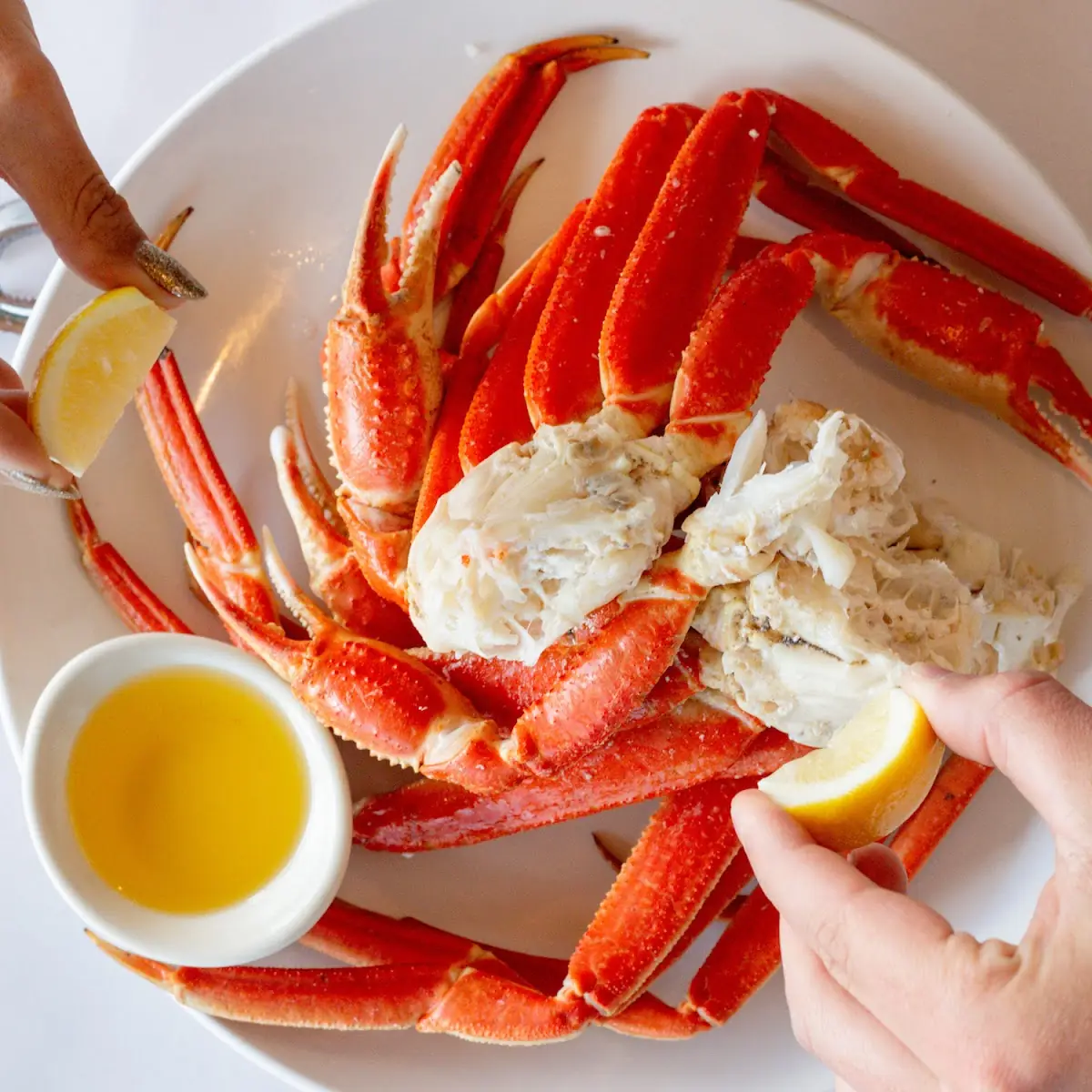 Alaskan Snow Crab