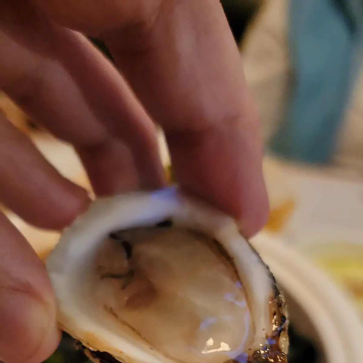 Oysters on the Half Shell