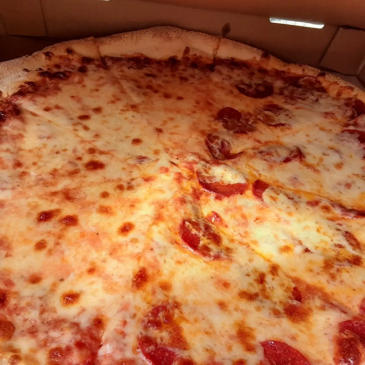 Half Cheese Half Pepperoni Pizza