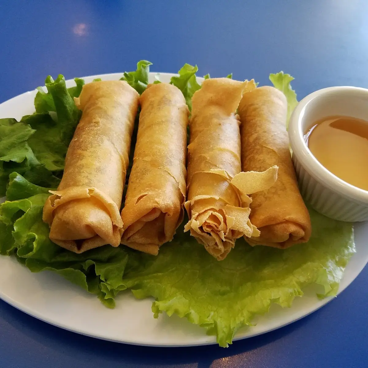 Fried Spring Rolls