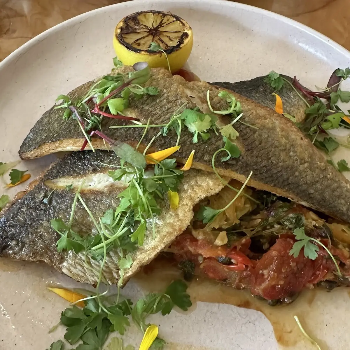 Seared Mediterranean Sea Bass
