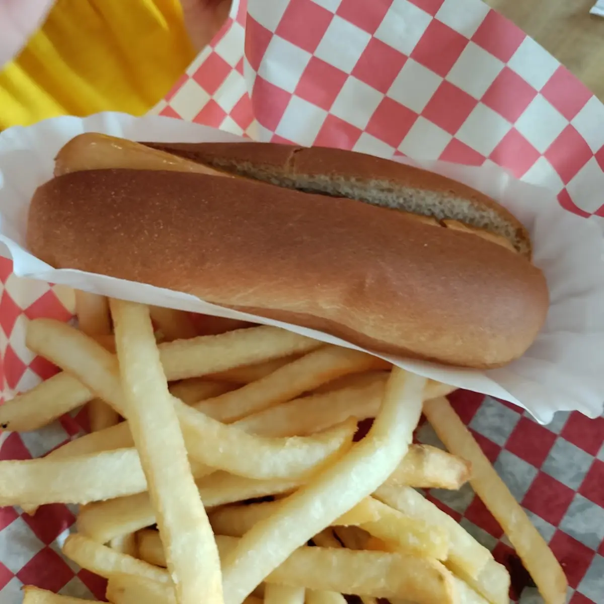 Hot Dog and Fries