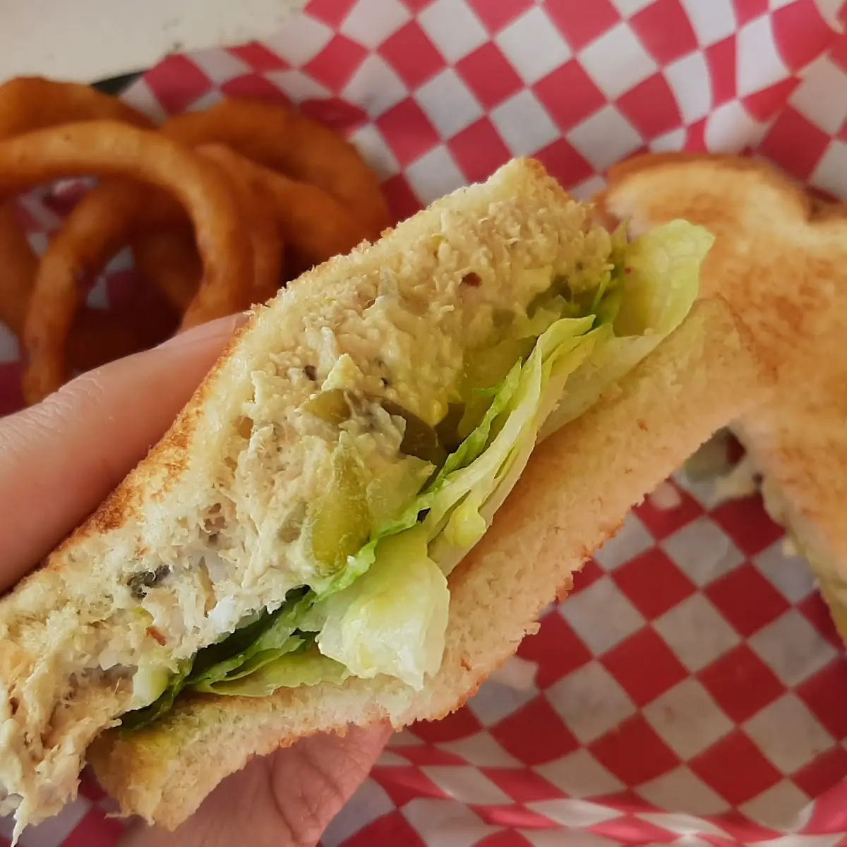 Tuna Salad Sandwich with Onion Rings