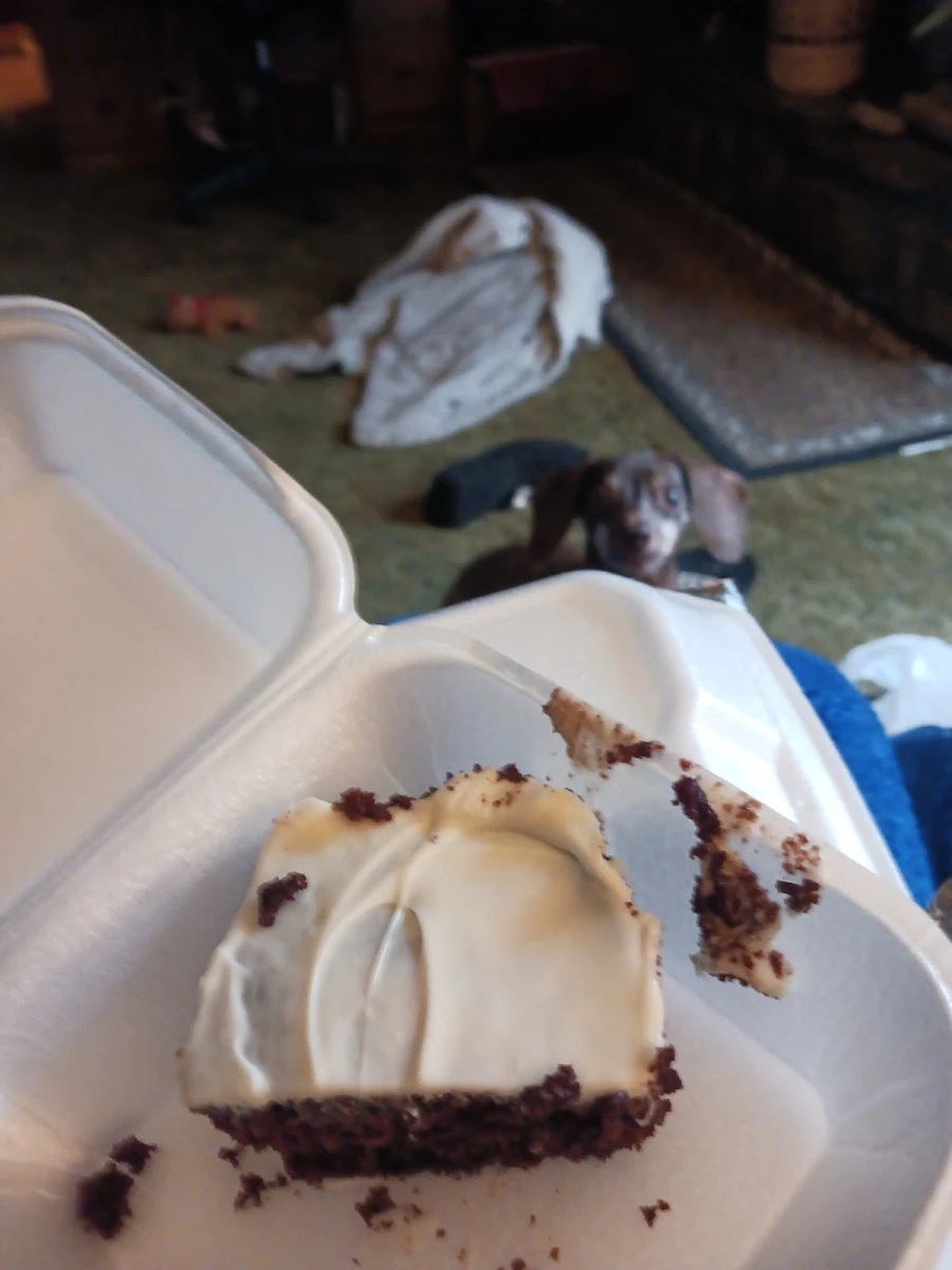 Chocolate Cake