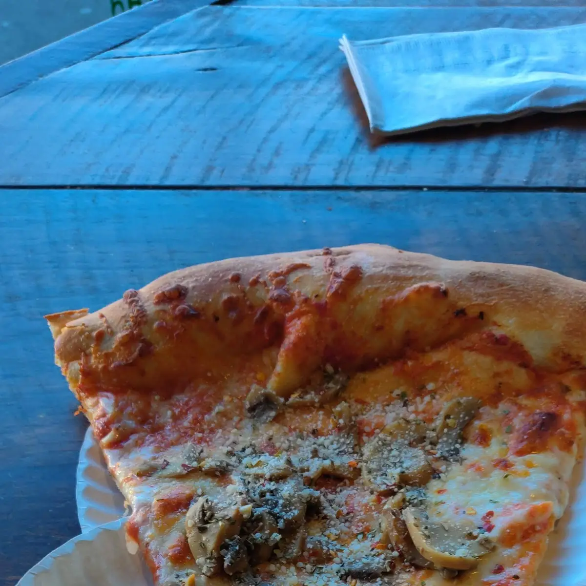 Garlic and Mushroom Pizza