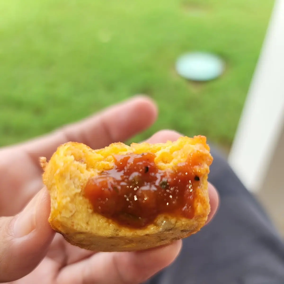 Chorizo Egg Bites w Trial in This Area with Salsa