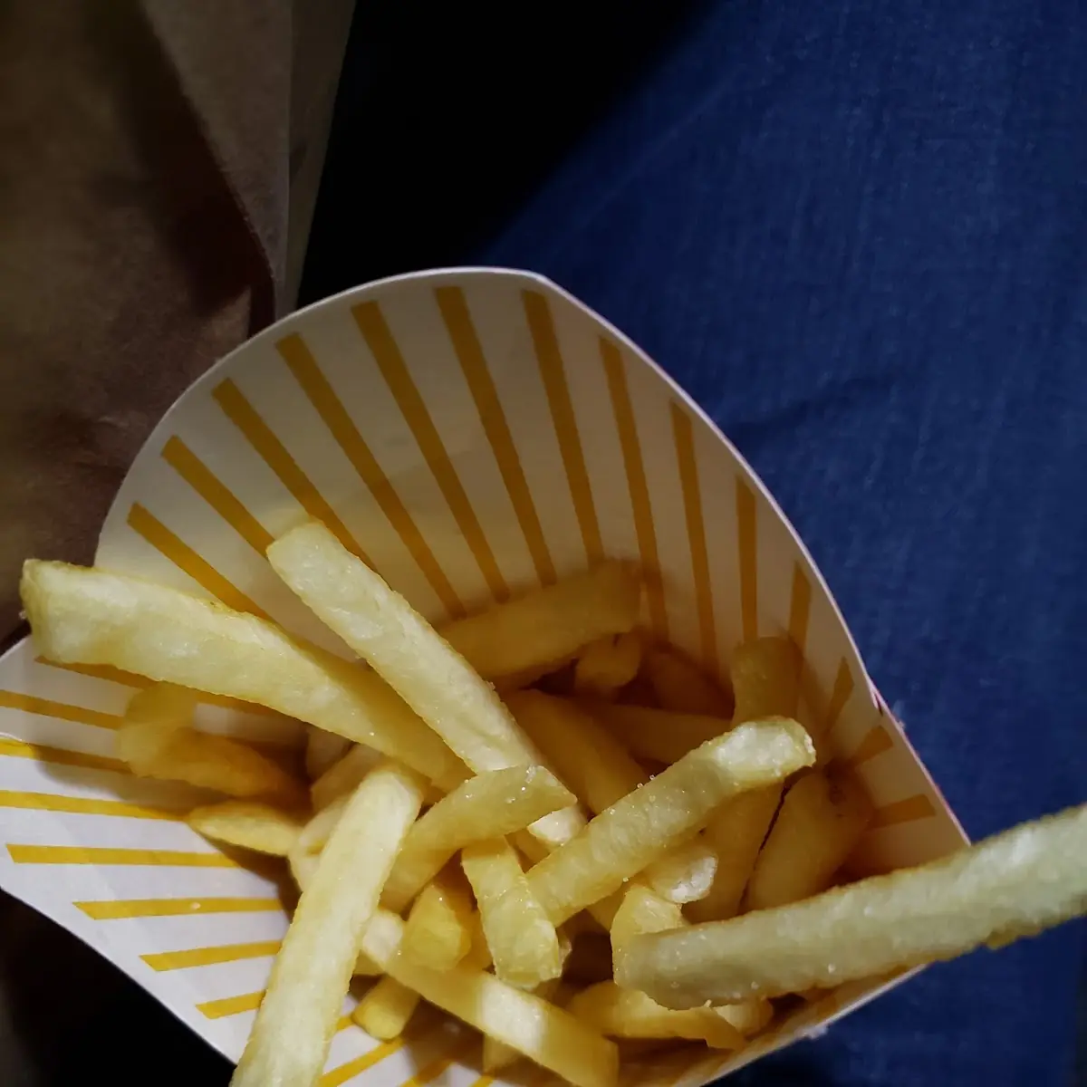 World Famous Fries