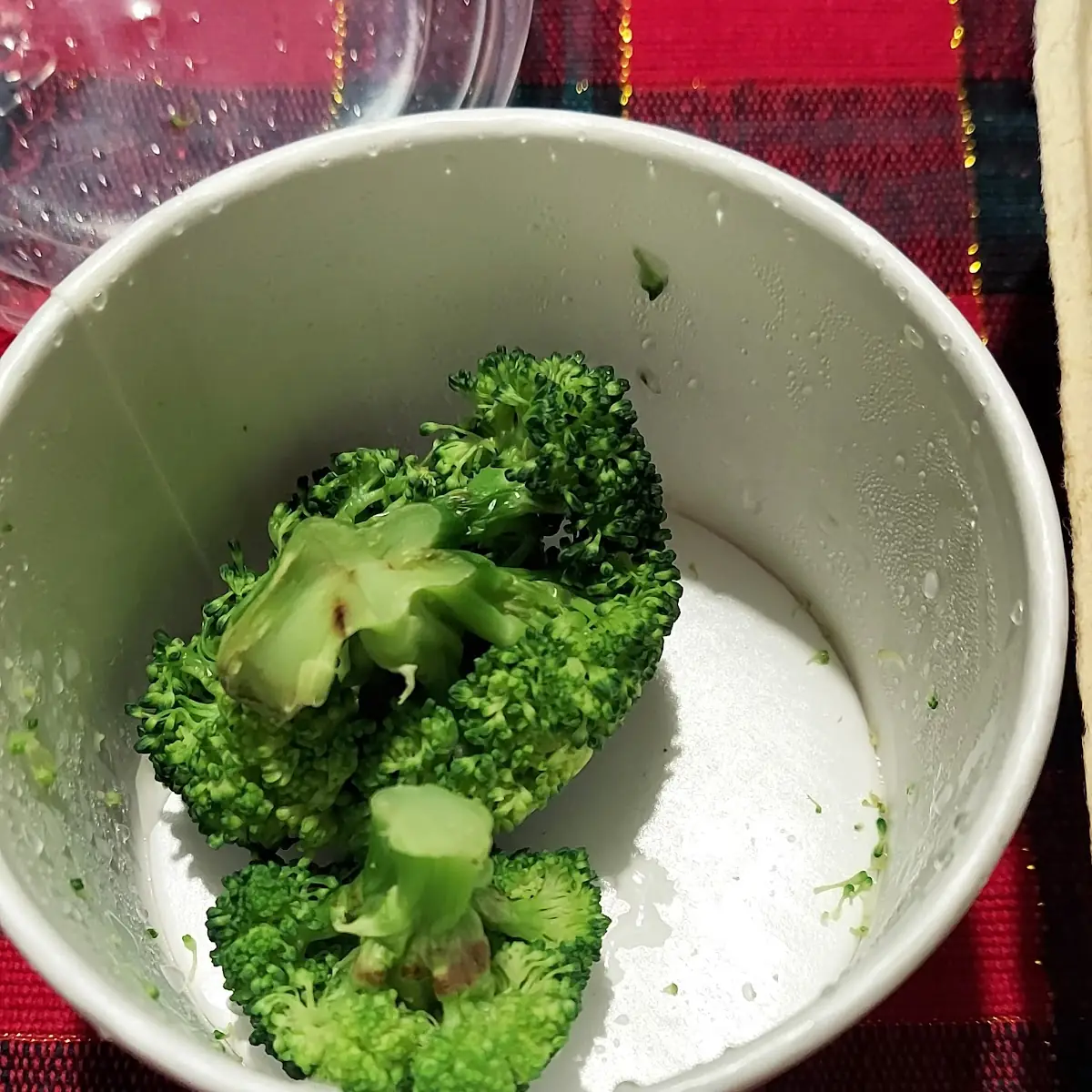 Steamed Broccoli