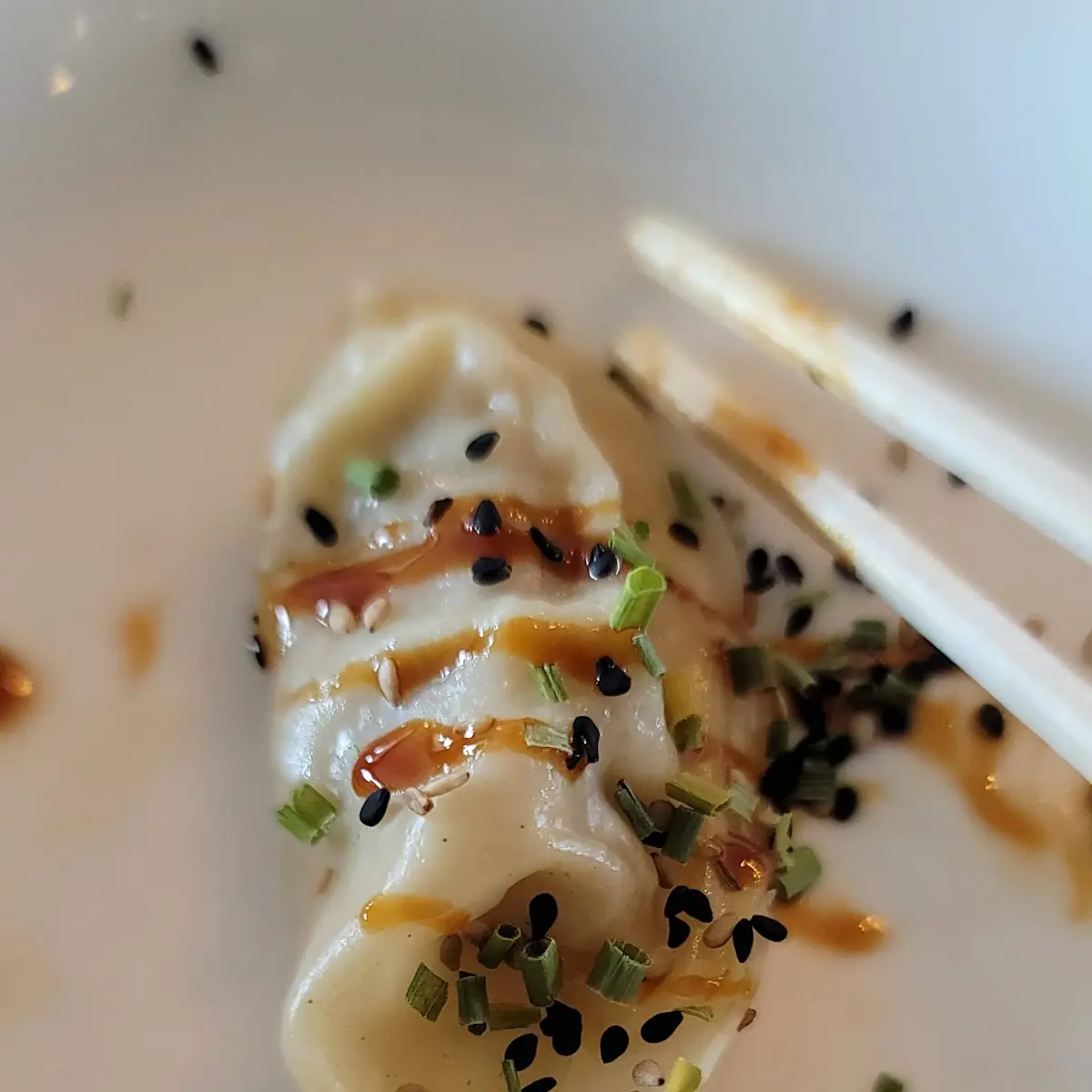 Pork Dumplings