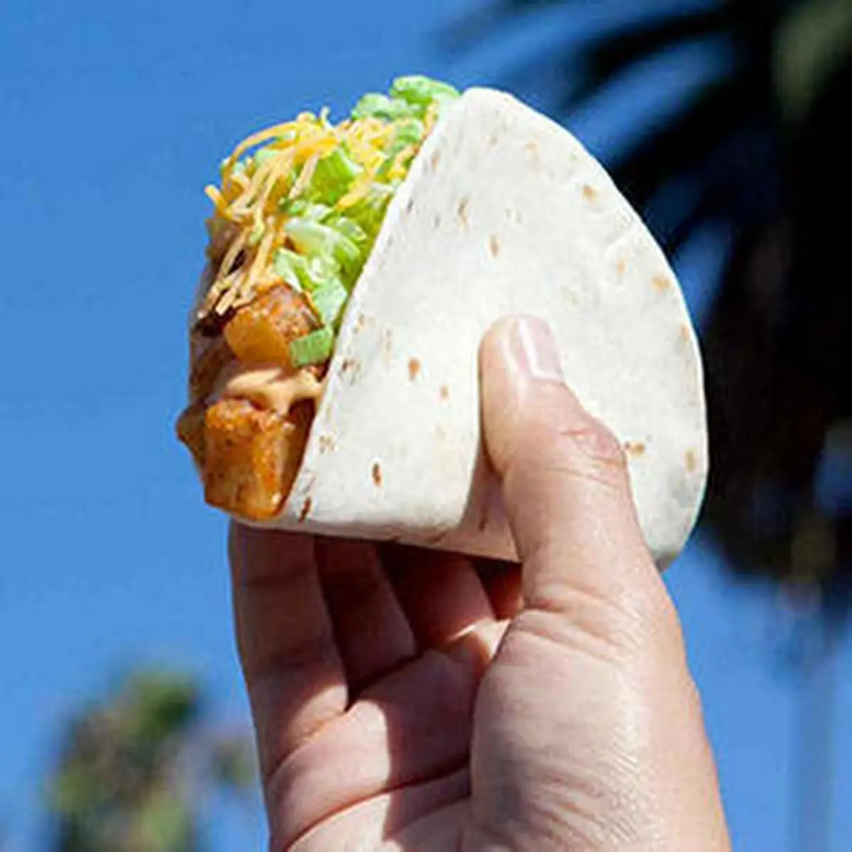 Soft Taco