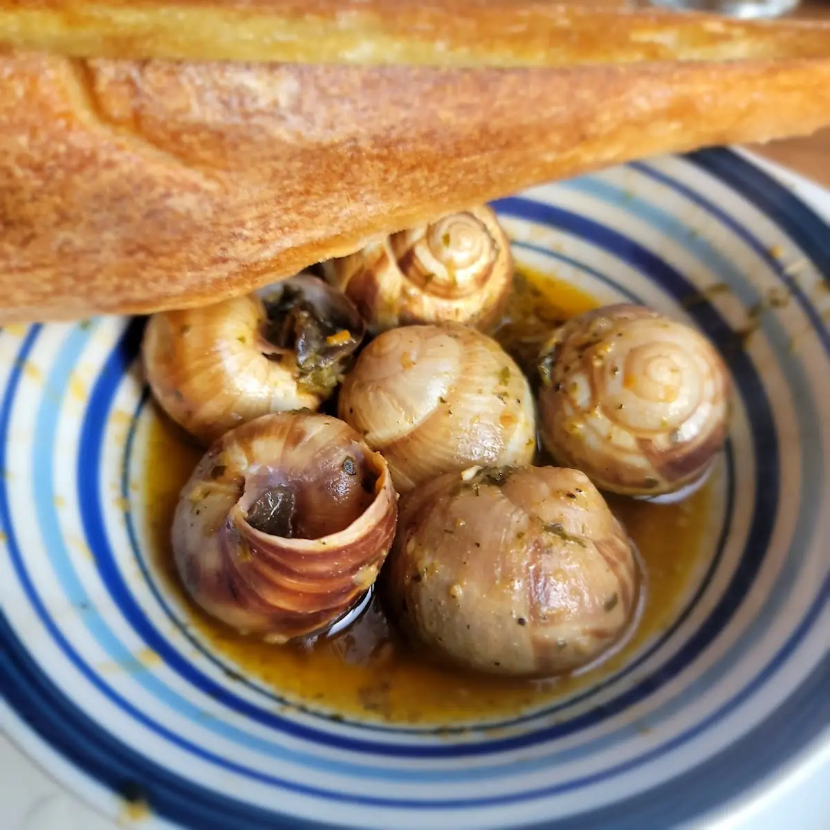 Escargot Bourguignon